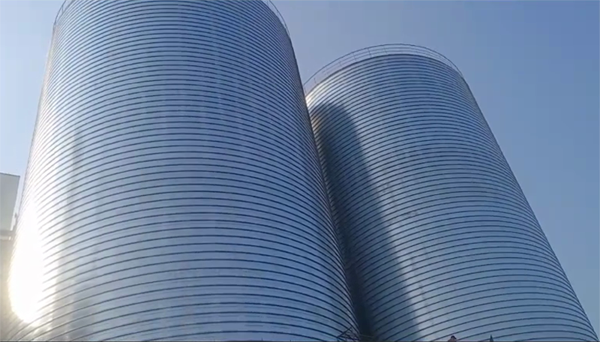 翁源2座混凝土高架卷板仓